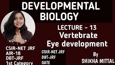 VERTEBRATE EYE DEVELOPMENT - DEVELOPMENTAL BIOLOGY CSIR-NET JRF LIFESCIENCE
