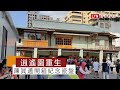 80年歷史建築「逍遙園」修復重生 陳其邁開箱紀念瓷盤