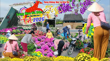 Làng hoa sa đéc 2026 nhiều mẫu mới hoa kiểng giá rẻ bất ngờ tung ra đón tết Bính Ngọ