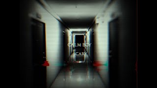 calm boy - SCARY | Paranormal video