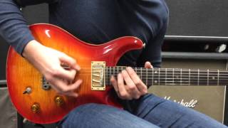 One Day Remains - Alter Bridge Guitar Cover Sebastien Wittmann PRS