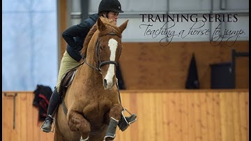 Training Series - Teach A Horse to Jump