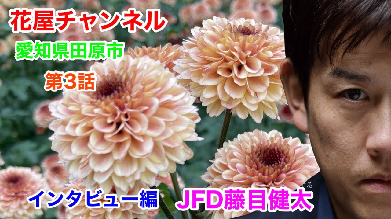 第3回愛知県田原市ジャパンフラワードリーム藤目健太さんインタビュー Youtube 第3回愛知県田原市ジャパンフラワードリーム藤目健太さんインタビュー Youtube