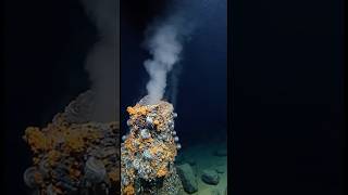 Watch This 😳#Abyss #DeepOcean #OceanSecrets #UnknownWorld #ExploreOcean #SeaMystery #HiddenWorld