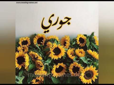 انشودة جوري