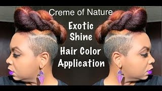 Creme of Nature Exotic Shine Color - Hair Color Application