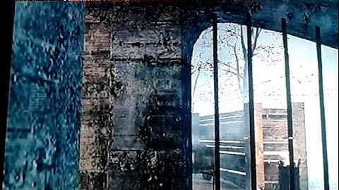 Sk8terlewis mod menu! Call of duty world at war