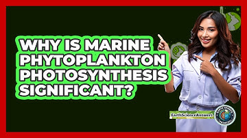 Why Is Marine Phytoplankton Photosynthesis Significant?