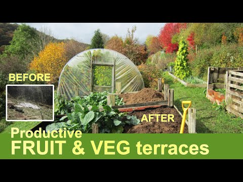 BARREN FIELD to PRODUCTIVE PLOT | Organic fruit & vegetable growing in Mid Wales