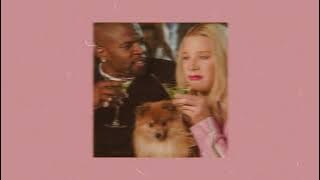 danzel - pump it up (extended mix) speed up   [harmonic reverb]