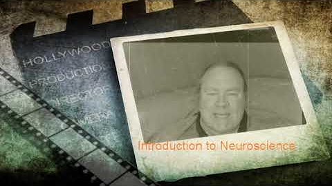 Week 5 Introduction - Neuroscience - Dr. Neil Soggie