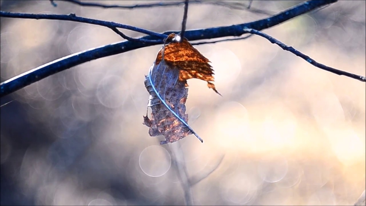 Сплав , река Илеть - YouTube