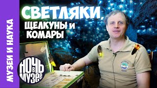видео: Светляки / Тимофей Левченко картинка: Светляки / Тимофей Левченко