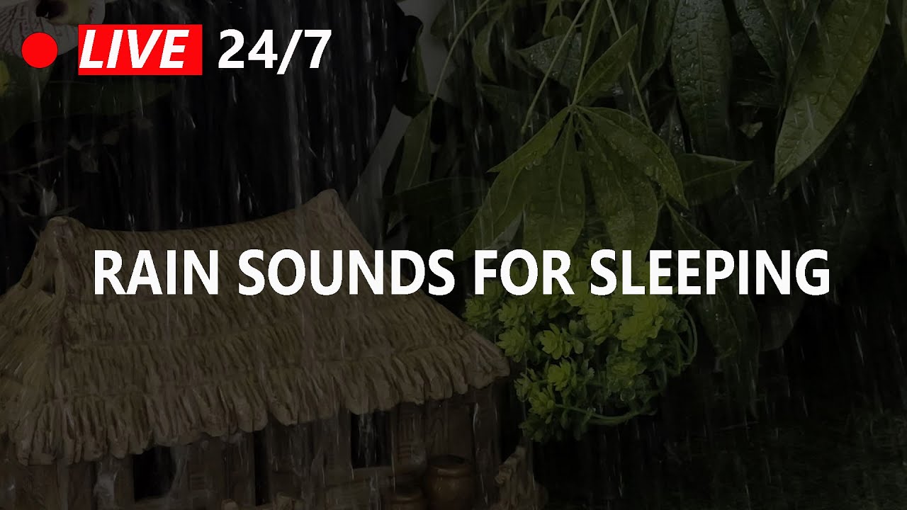 Rain Sounds for Sleep | Fall Asleep Fast with Relaxing Rain Ambience ...