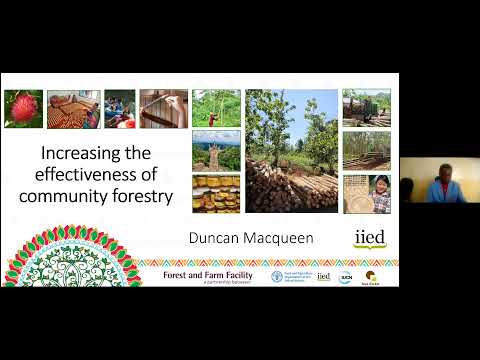 Learning from experiences to increase the effectiveness of Community-Based Forestry