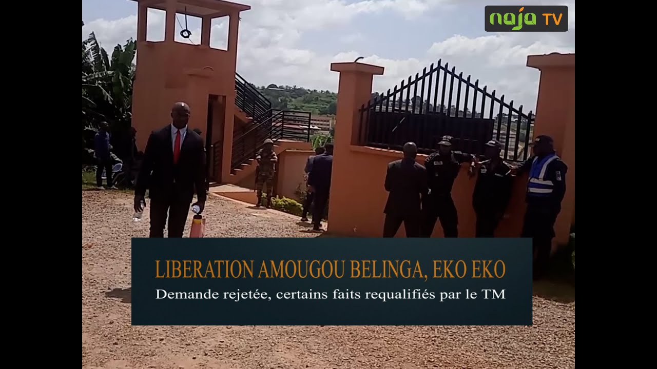 Libération de Amougou Belinga et Eko Eko: ...