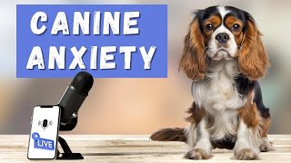 Understanding and Calming Cavalier King Charles Spaniel Canine Anxiety 🐶 A Facebook Live Q & A by Cavalier King Charles Spaniel Tips and Fun 139 views 5 months ago 1 hour, 6 minutes