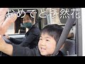 軽トラックで入学式#177【然花が小学生になった日】