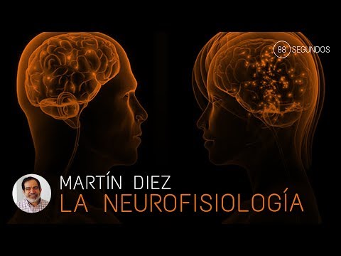 Video: ¿Por qué es importante la neurofisiología?