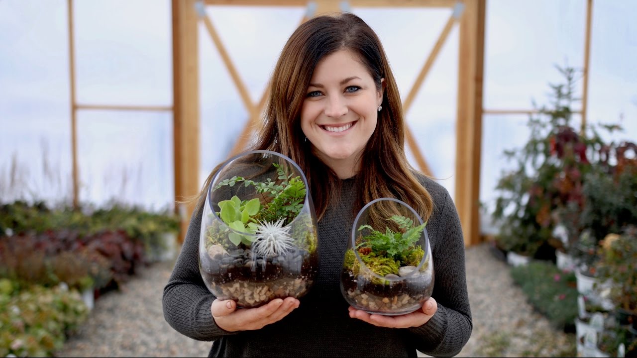 How to Build a Terrarium, So It's Always Gardening Season - The