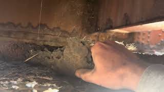 IMG 4421