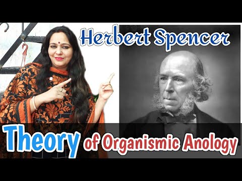 Herbert Spencer:Organismic Analogy /Herbert Spencer/Theory of Herbert Spencer by Swats Passion