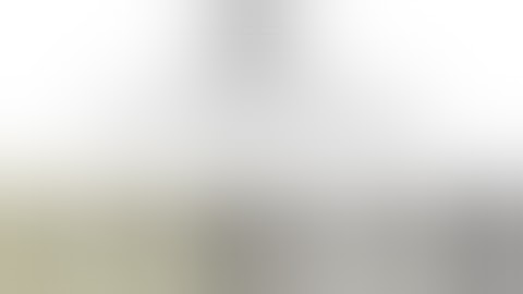 Dovpo Mvv Special Edition- What A Beauty!!