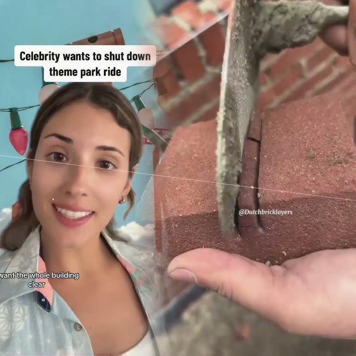 When you’ve been waiting in line for an hour but a celebrity wants to shit down the ride #skit