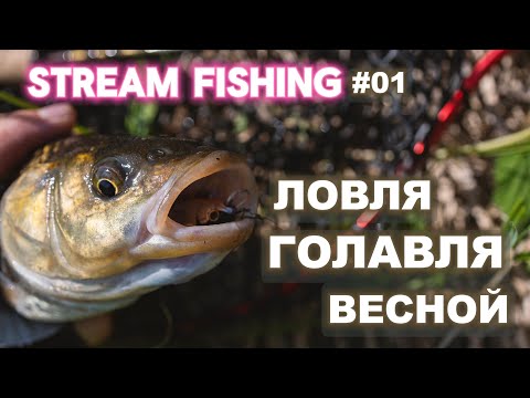 видео: Stream Fishing #01 - Ловля голавля в начале мая.