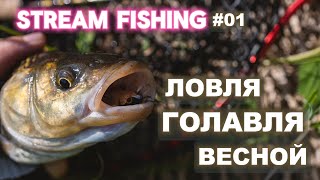 Stream Fishing #01 - Ловля голавля в начале мая.