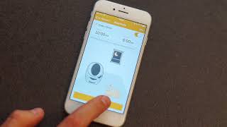 front facing cat carrier