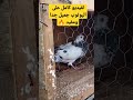 صنع هياجة حمام جميلة جدا وممتعة