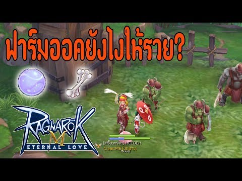 ฟาร์มออคยังไงให้รวย? l Ragnarok M Eternal Love