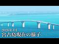 【いまだけの魅力】4月の宮古島が美しい🌺現地よりとれたて映像でお届けします