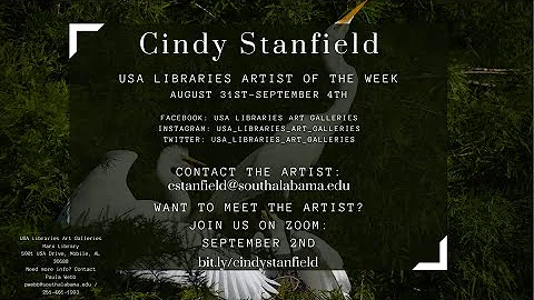 USA Libraries Art Galleries Art Talk with Photogra...