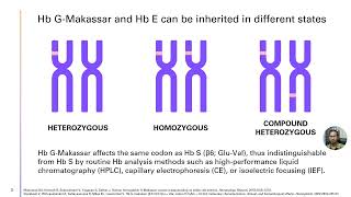 Compound Heterozygosity for Hemoglobin G-Makassar – Video abstract [432849]