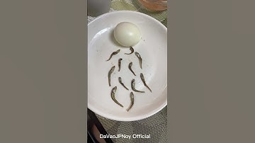 first come, first served #shorts #video