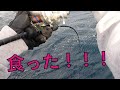 マグロジギングはスロー？絶好調のキハダジギングでまさかの！？御蔵島遠征【網代 森竜丸・南伊豆 もき丸】Slow pitch Deep Jigging
