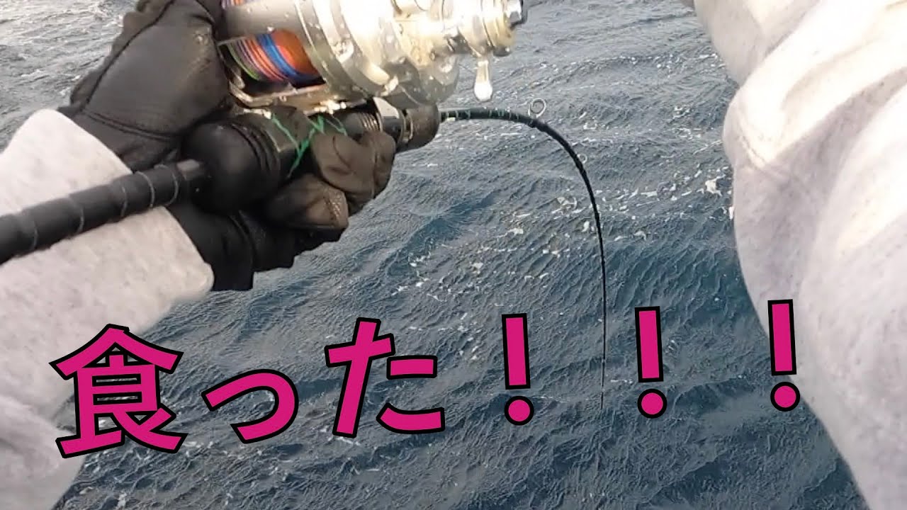 マグロジギングはスロー？絶好調のキハダジギングでまさかの！？御蔵島遠征【網代 森竜丸・南伊豆 もき丸】Slow pitch Deep Jigging