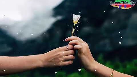 Lòng Tốt Của Bạn Có được đặt đúng chỗ?