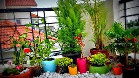gardening in small spaces ideas