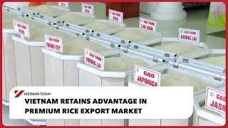 Vietnam retains advantage in premium rice export market| Vietnam Today
