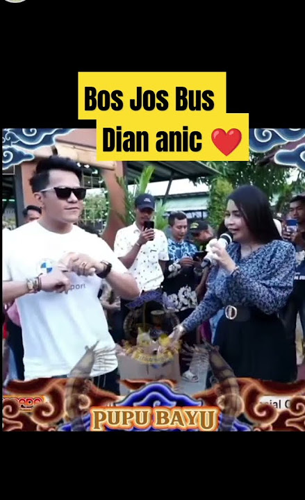 Bos Jos Bus ❤ Dian Anic Pupu Bayu #diananic #bosjosbus #rajasawer #videoshort #viral #fyp #pupubayu