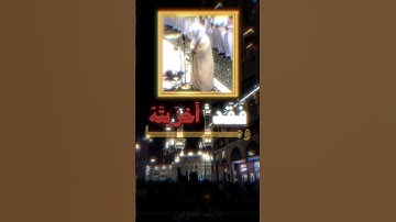 ربنا انك من تدخل النار فقد أخزيته ياسر الدوسري #ياسر_الدوسري رمضان 1436 سورة أل عمران
