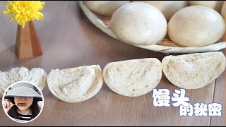 【Mantou】Plain Steam Buns  Dough 101 Ep. 6 (Eng. Sub.)