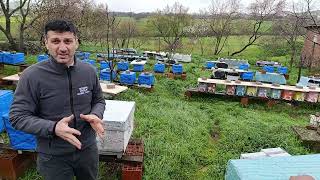 Modern Aricilik: Mart Ayinda Neler Yapmaliyiz Ve Nelere Di̇kkat Etmeli̇yi̇z.