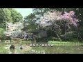 星花火/坂本冬美/Relaxing Music