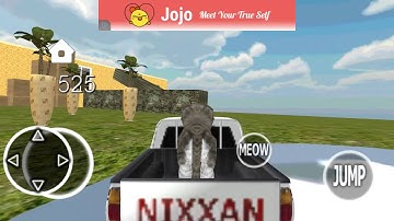 Kitten cat simulator |part 1|