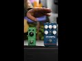 Tone showdown! Tube Screamer vs Triumph OD