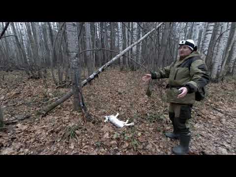 Video: Razlika Između Polimera I Kopolimera